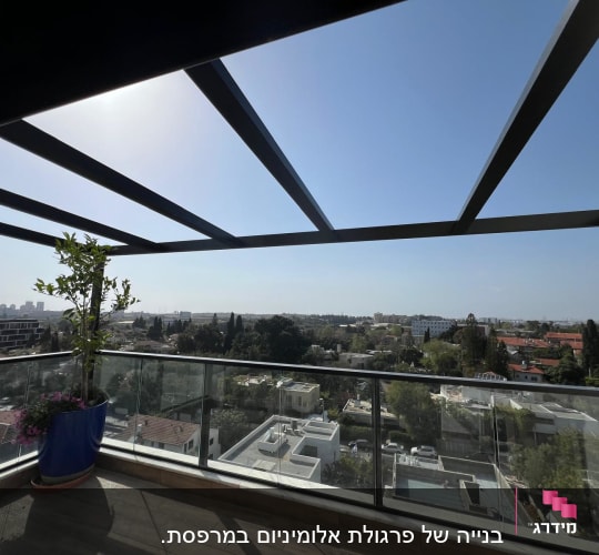 מרפסת עם צמח בעציץ ונוף עירוני ברקע